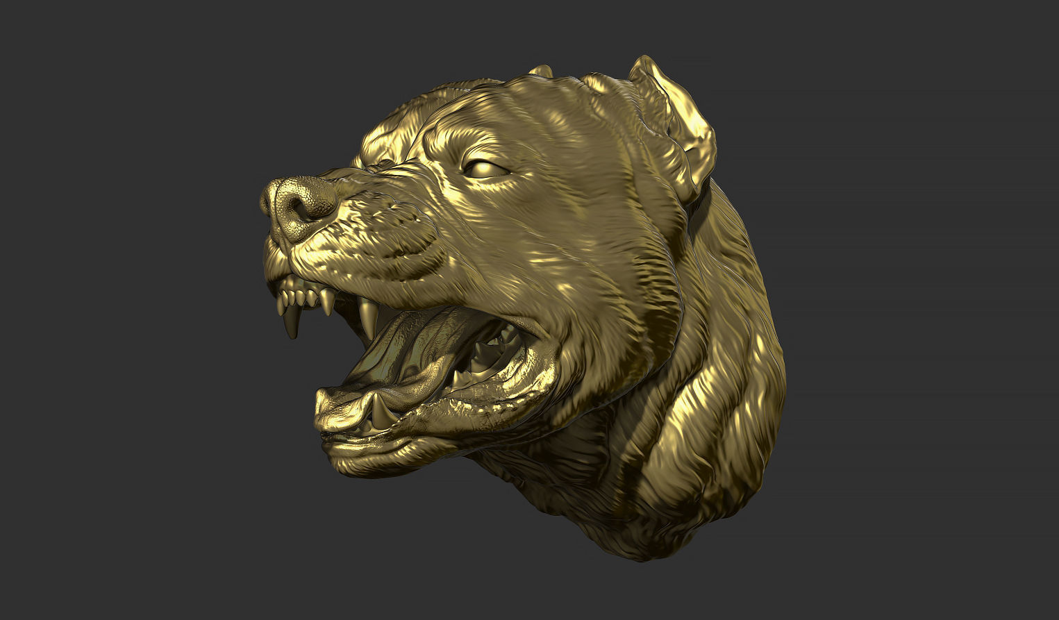 Pitbull grin head 3D print model_15