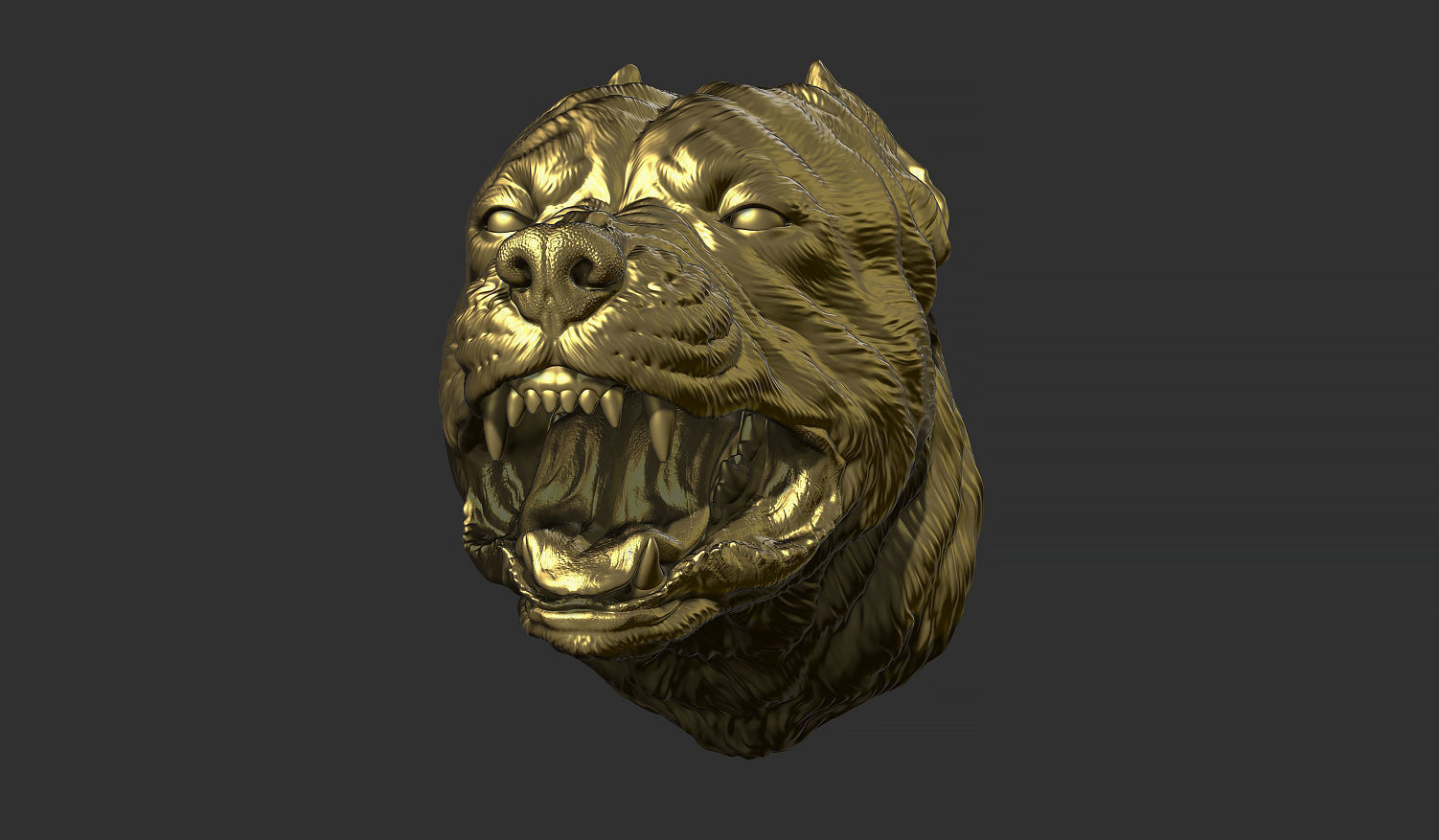 Pitbull grin head 3D print model_14