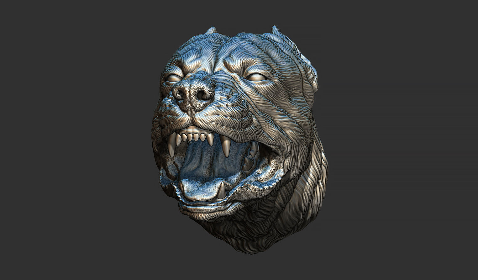 Pitbull grin head 3D print model_16