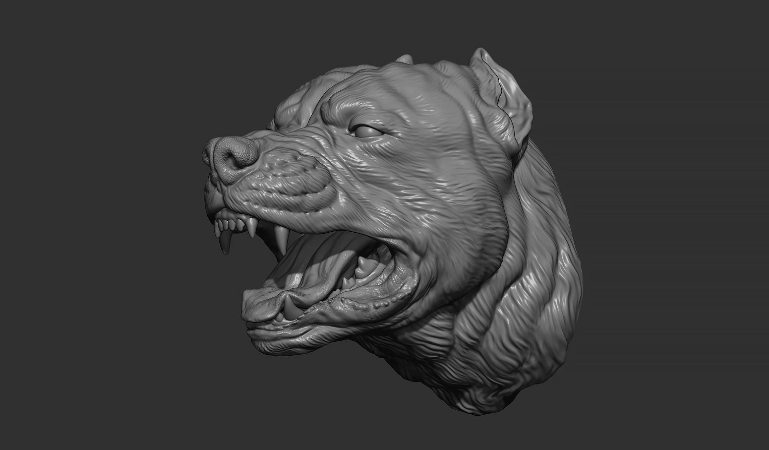 Pitbull grin head 3D print model_8
