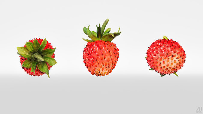 Strawberry 3D model 5