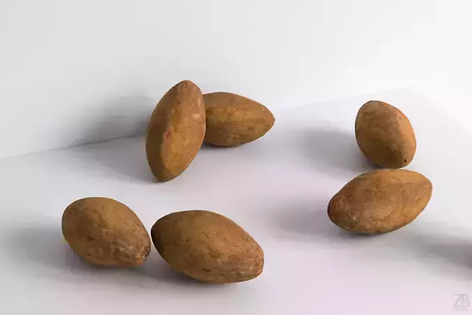 Sapodilla 3D model