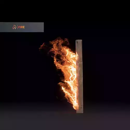 3D Fence Post Fire 3D model