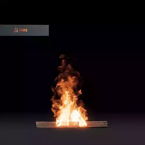 3D Fire 3D model