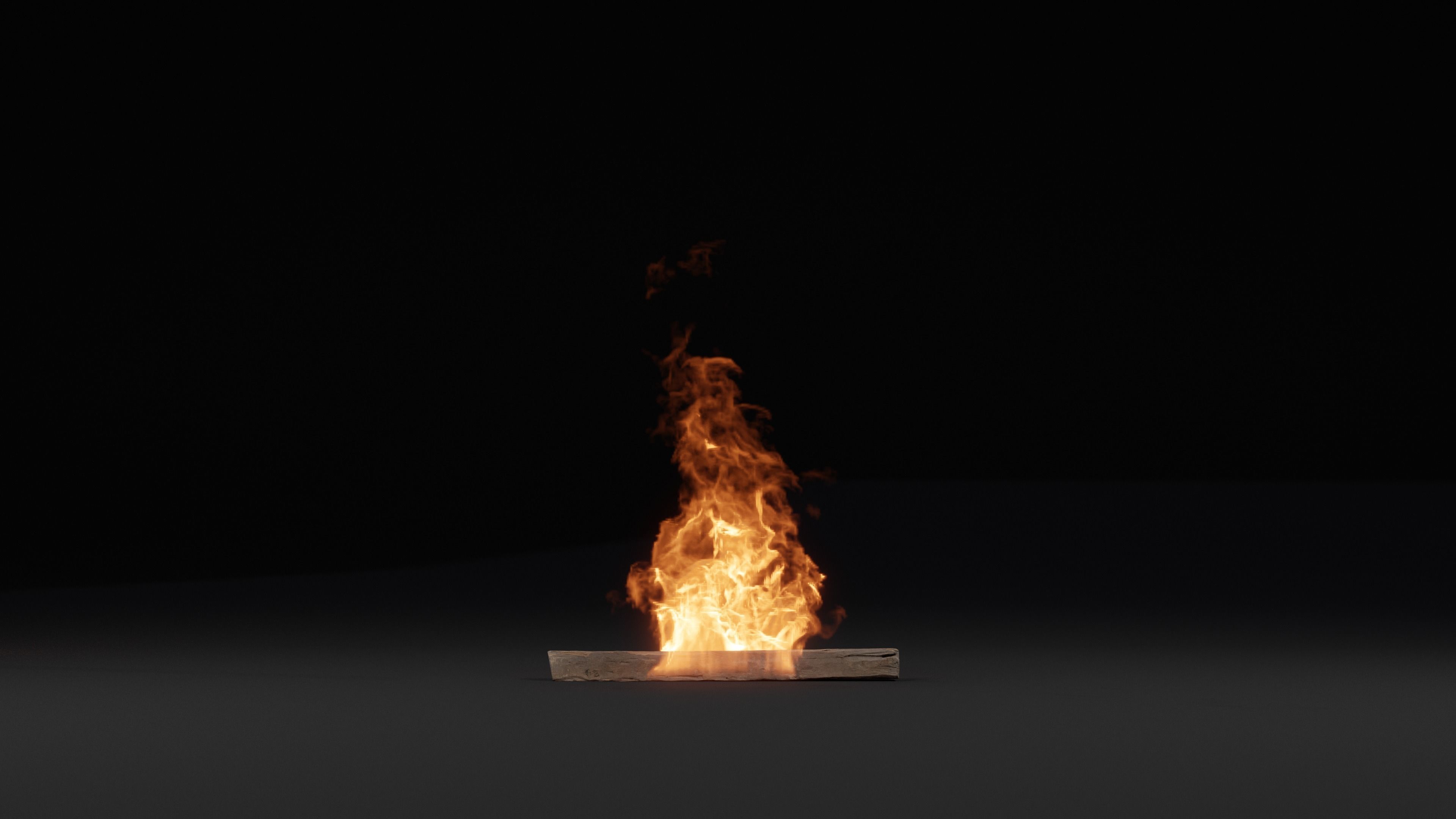 3D Fire 3D model_2