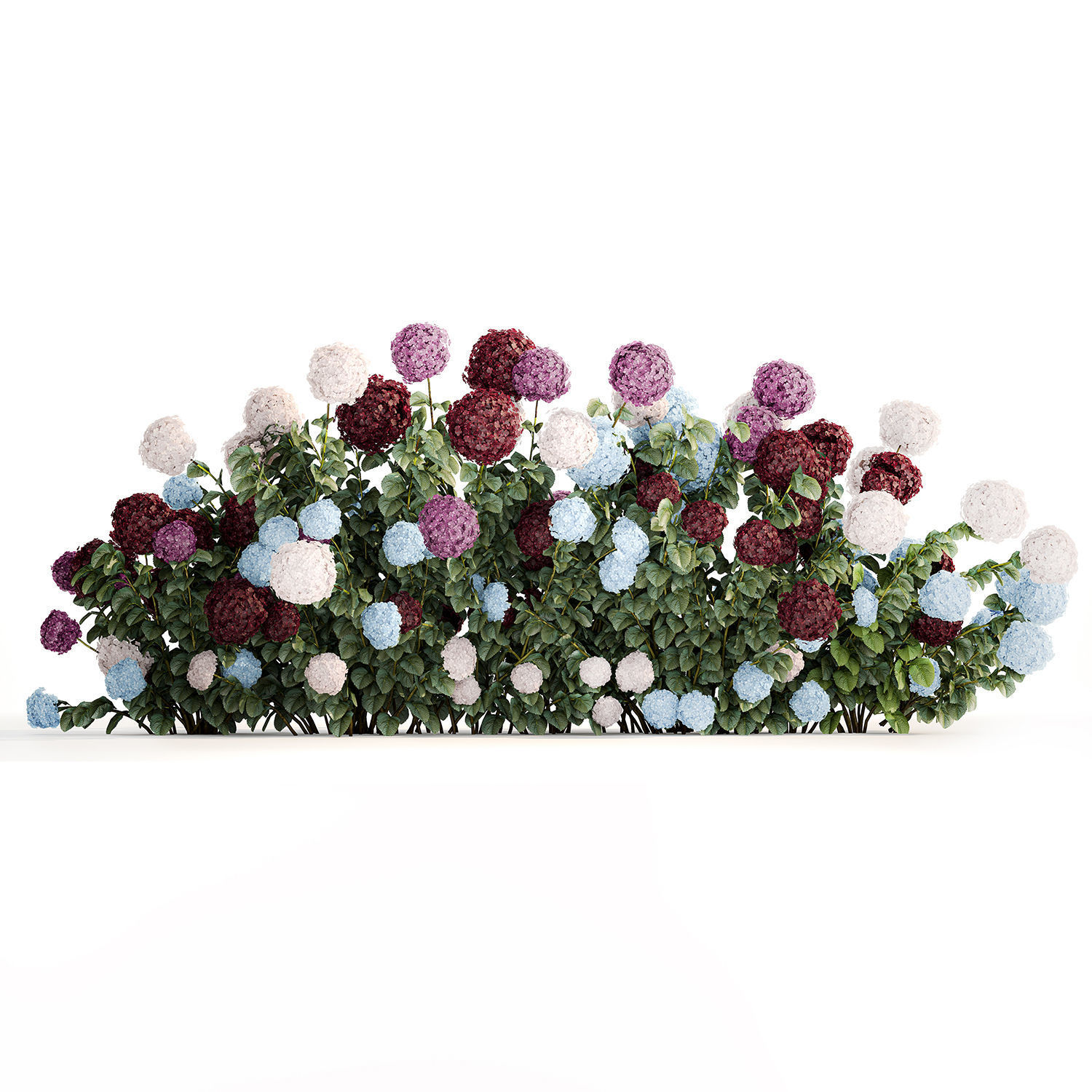 Hydrangea Bushes For Garden Landscaping 1183 3D model_1