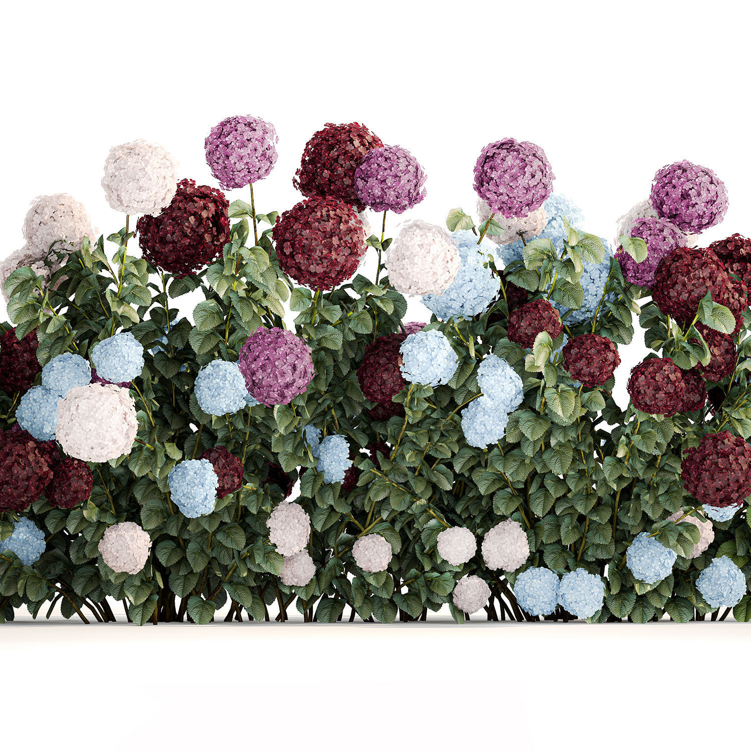 Hydrangea Bushes For Garden Landscaping 1183 3D model_4