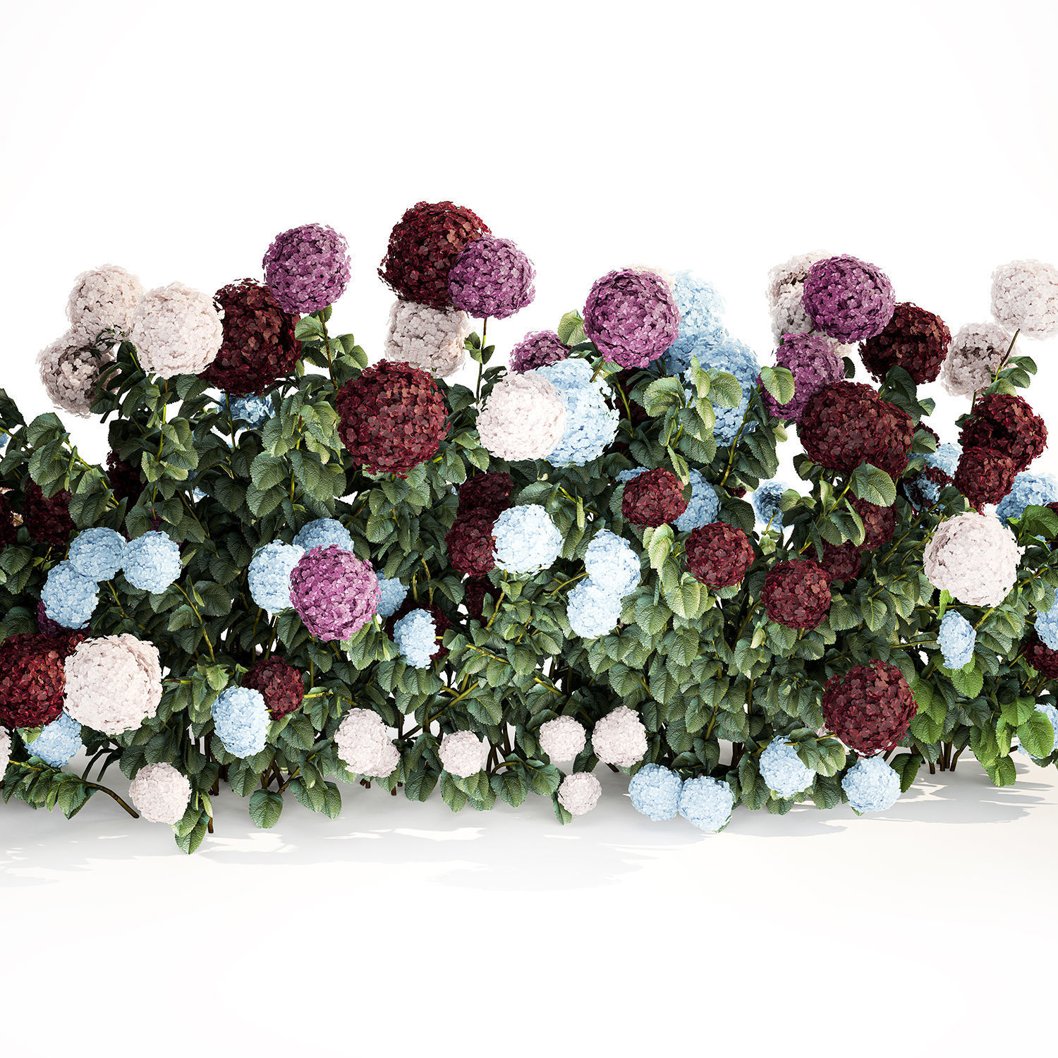 Hydrangea Bushes For Garden Landscaping 1183 3D model_2