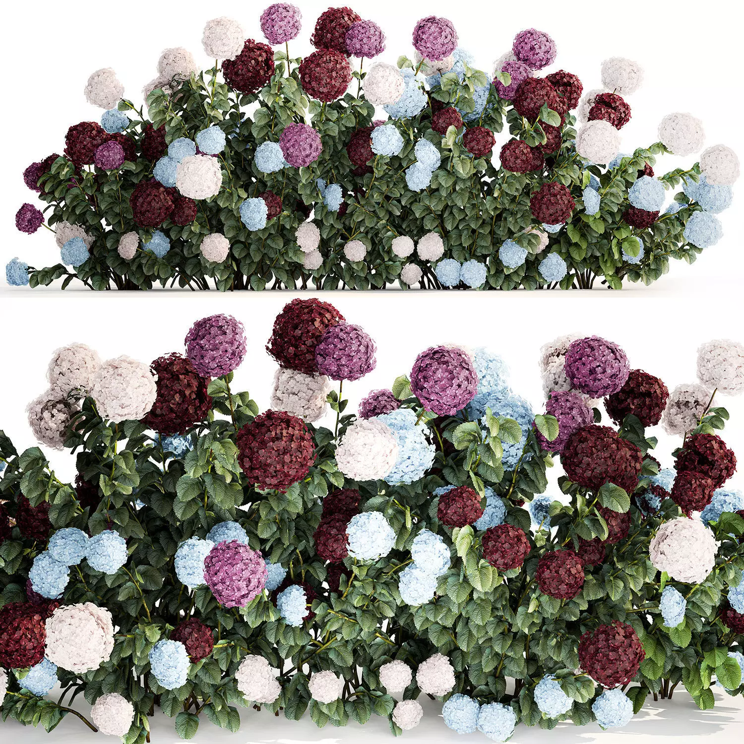 Hydrangea Bushes For Garden Landscaping 1183 3D model_0