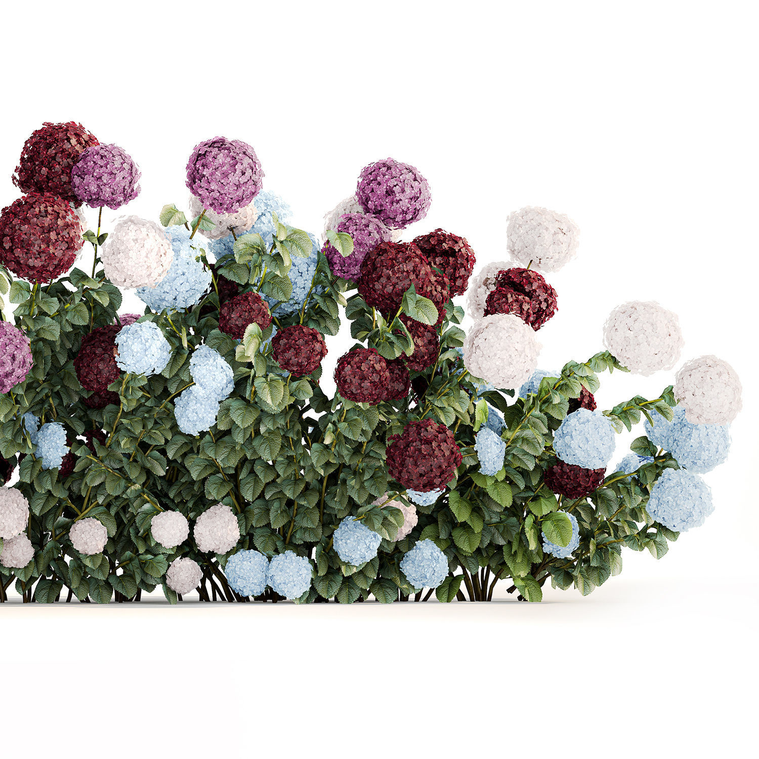 Hydrangea Bushes For Garden Landscaping 1183 3D model_5