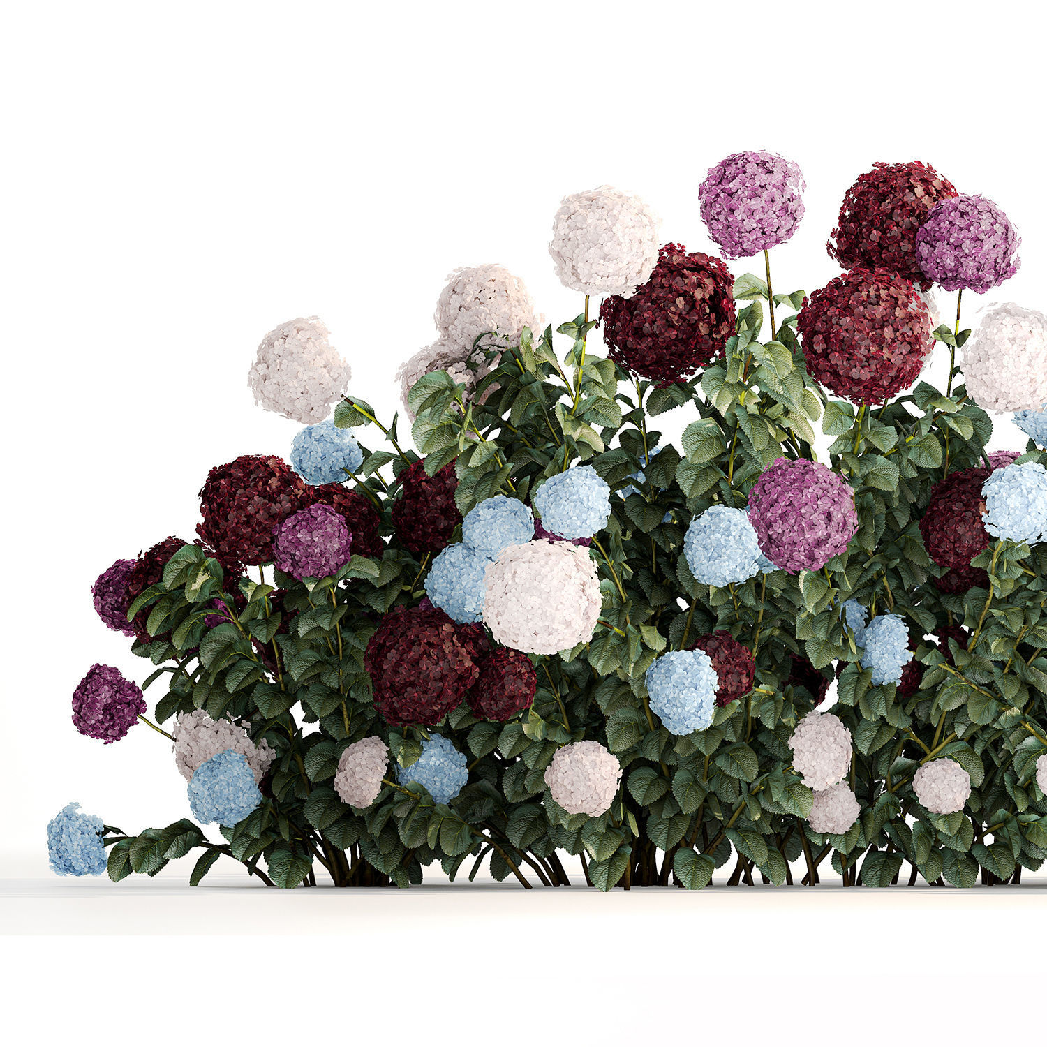 Hydrangea Bushes For Garden Landscaping 1183 3D model_3