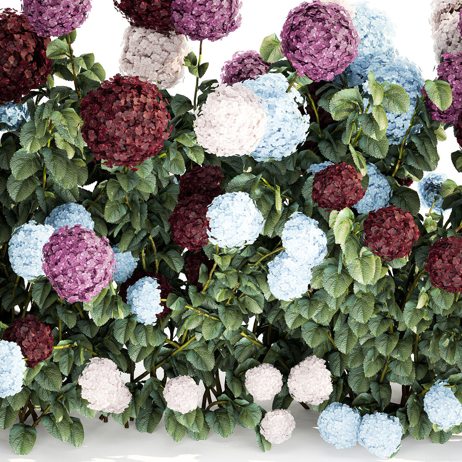 Hydrangea Bushes For Garden Landscaping 1183 3D model_6