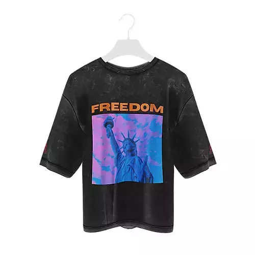 Streetwear 3D T-Shirt - Freedom 02 - Wolves Studio