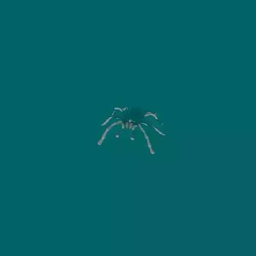 Rigged spider 