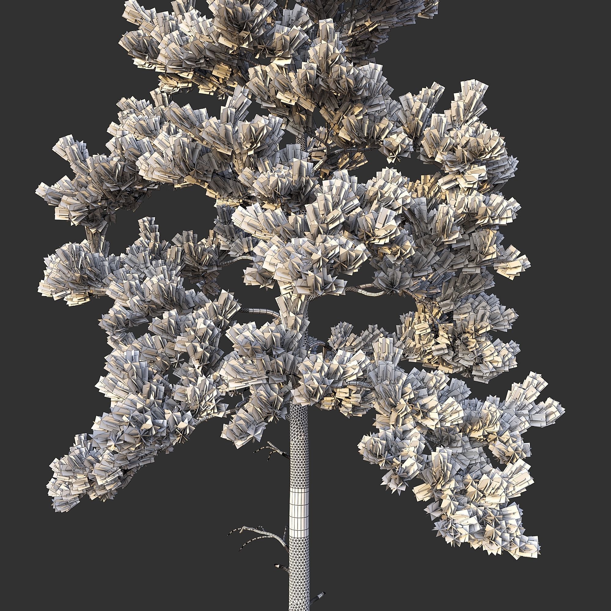 Pine 02 Set 01 3D model_5