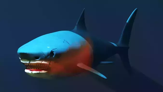Shark
