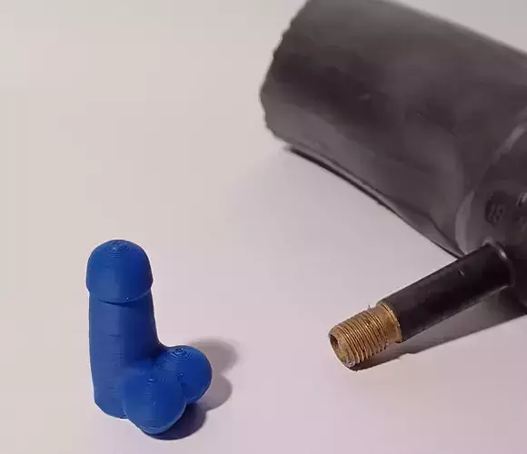 Penis Schrader Valve Cap 3D print model
