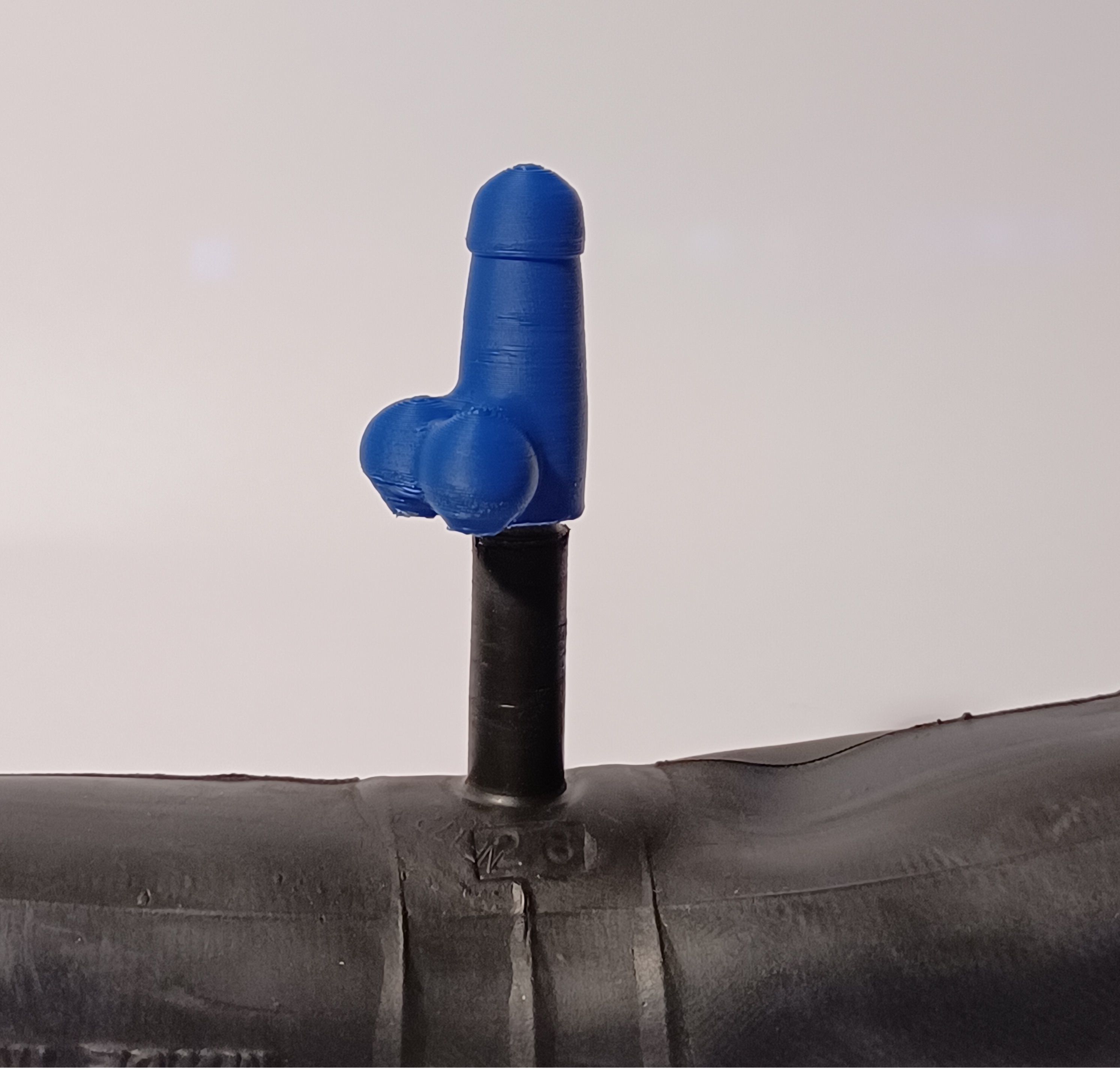 Penis Schrader Valve Cap 3D print model_3