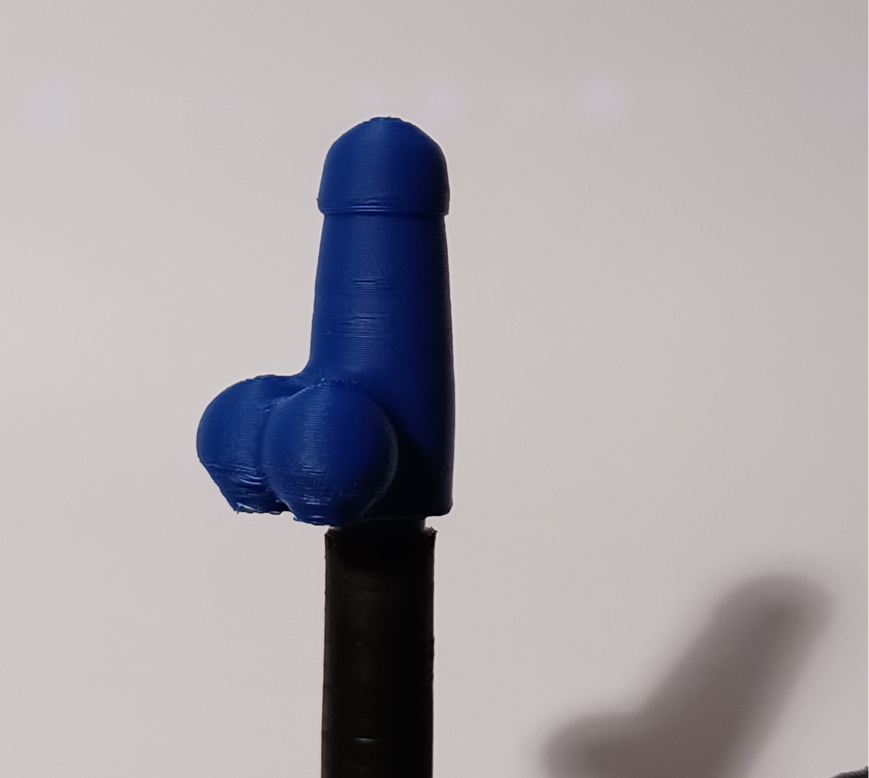 Penis Schrader Valve Cap 3D print model_4