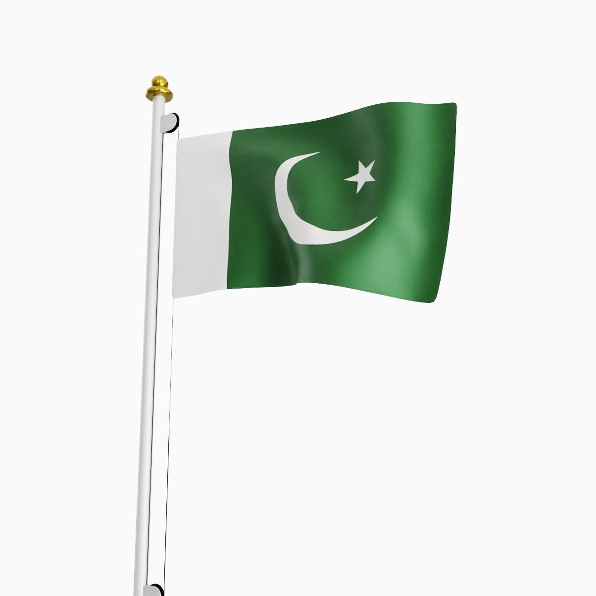 Flag of the Pakistan Low-poly 3D model_5
