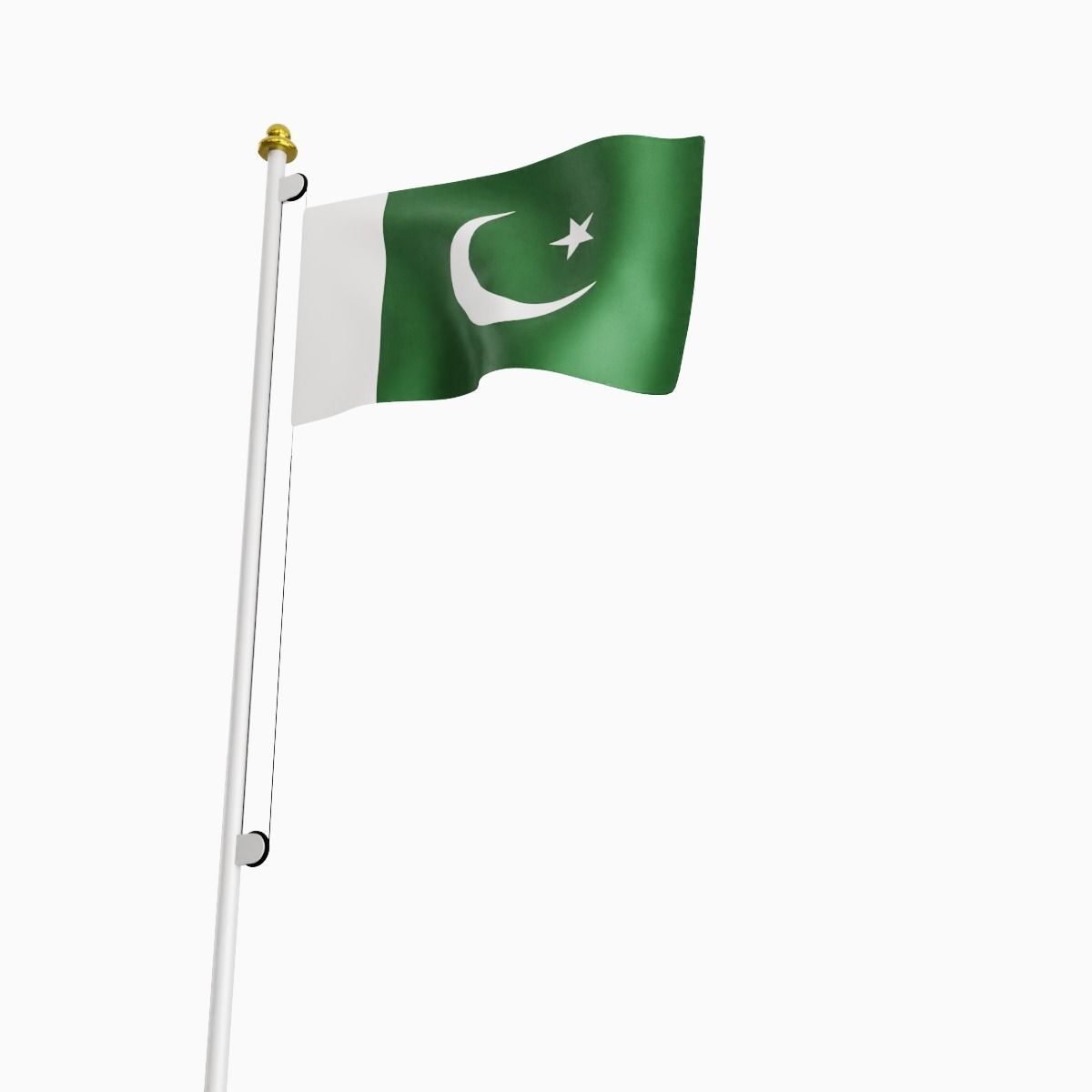 Flag of the Pakistan Low-poly 3D model_6