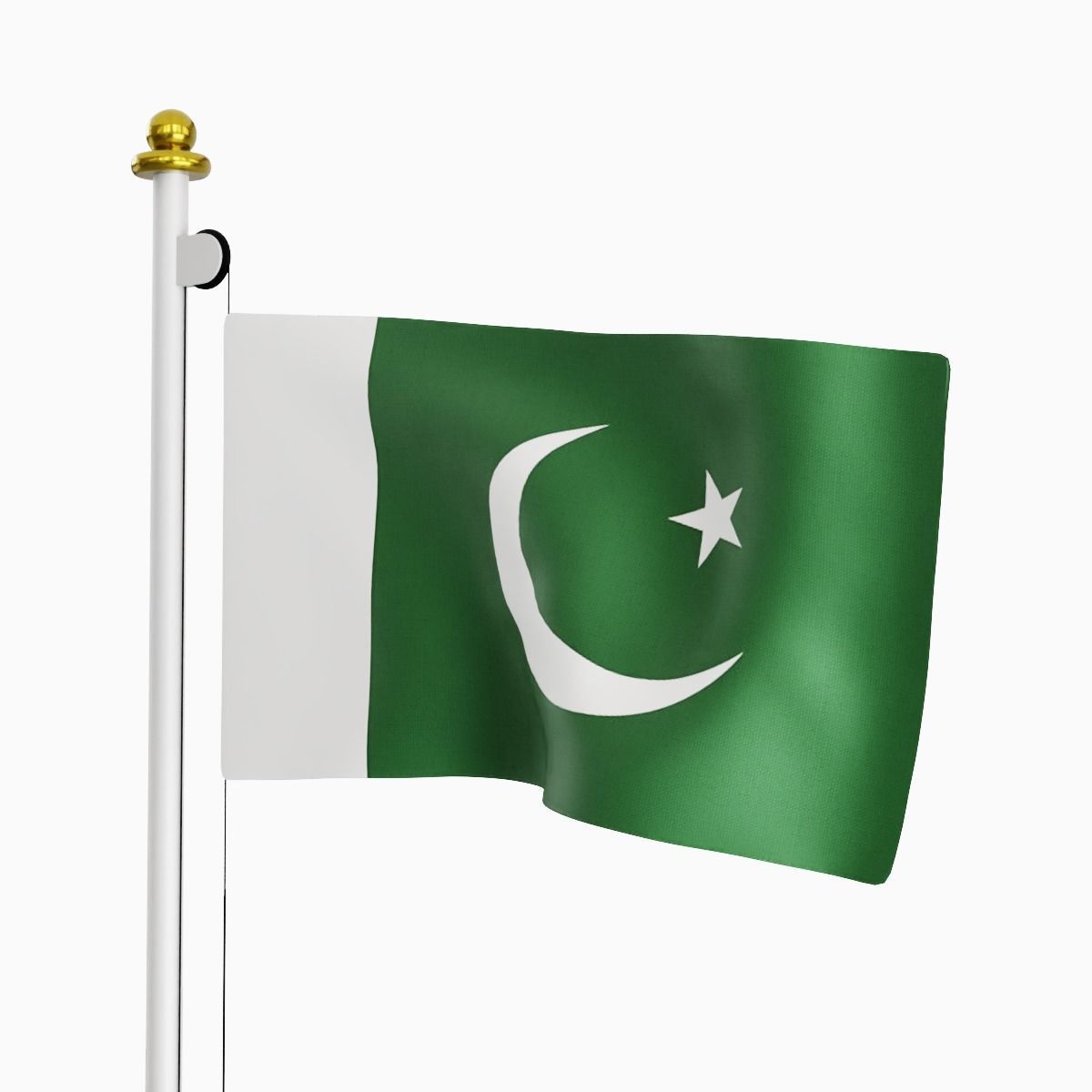 Flag of the Pakistan Low-poly 3D model_1