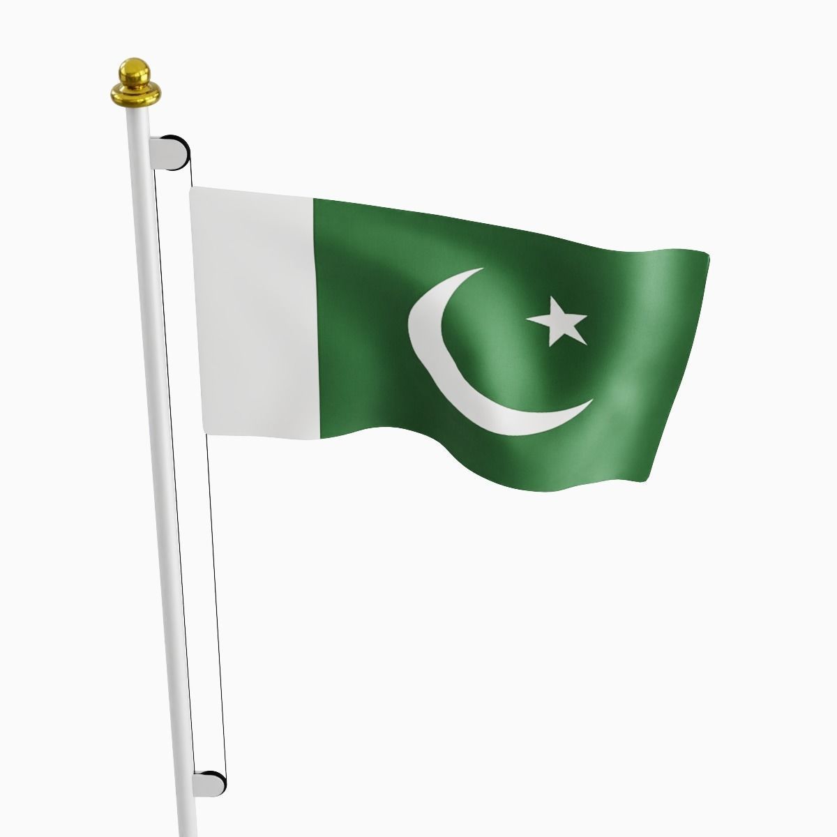 Flag of the Pakistan Low-poly 3D model_4