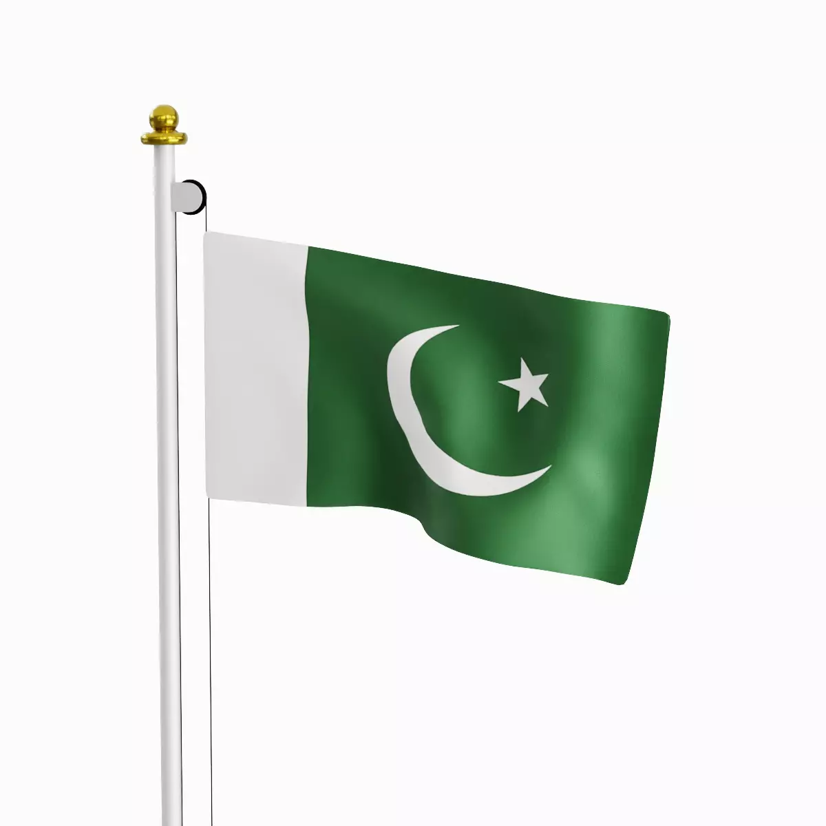 Flag of the Pakistan Low-poly 3D model_0