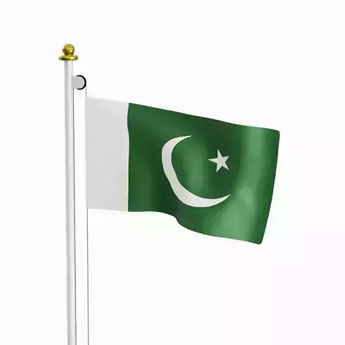 Flag of the Pakistan