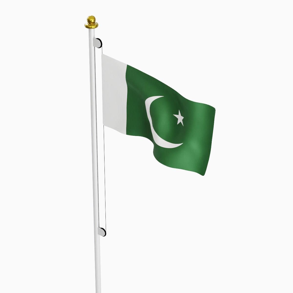 Flag of the Pakistan Low-poly 3D model_2
