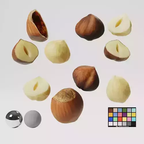 Hazelnuts - Var01