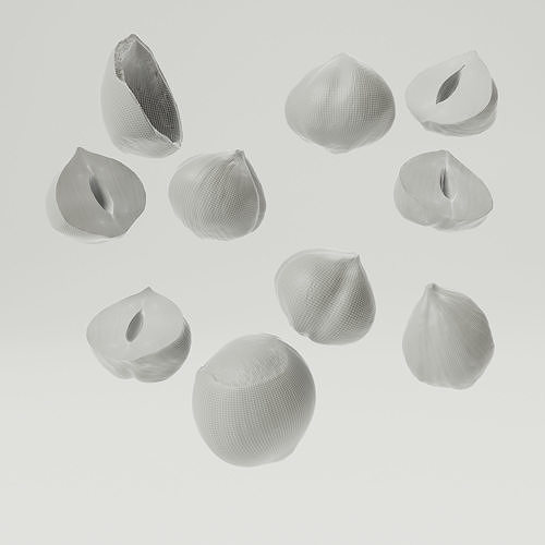 Hazelnuts - Var01 3D model 2