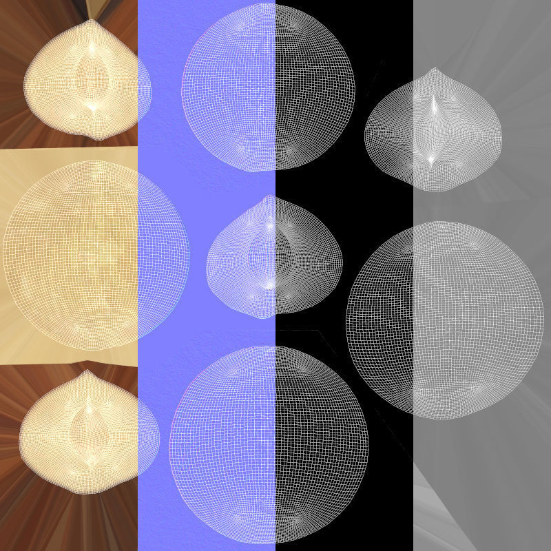 Hazelnuts - Var01 3D model_7