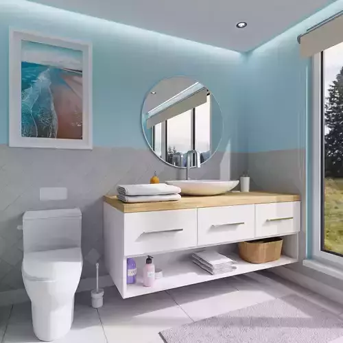 Bathroom 2 with walls and furniture