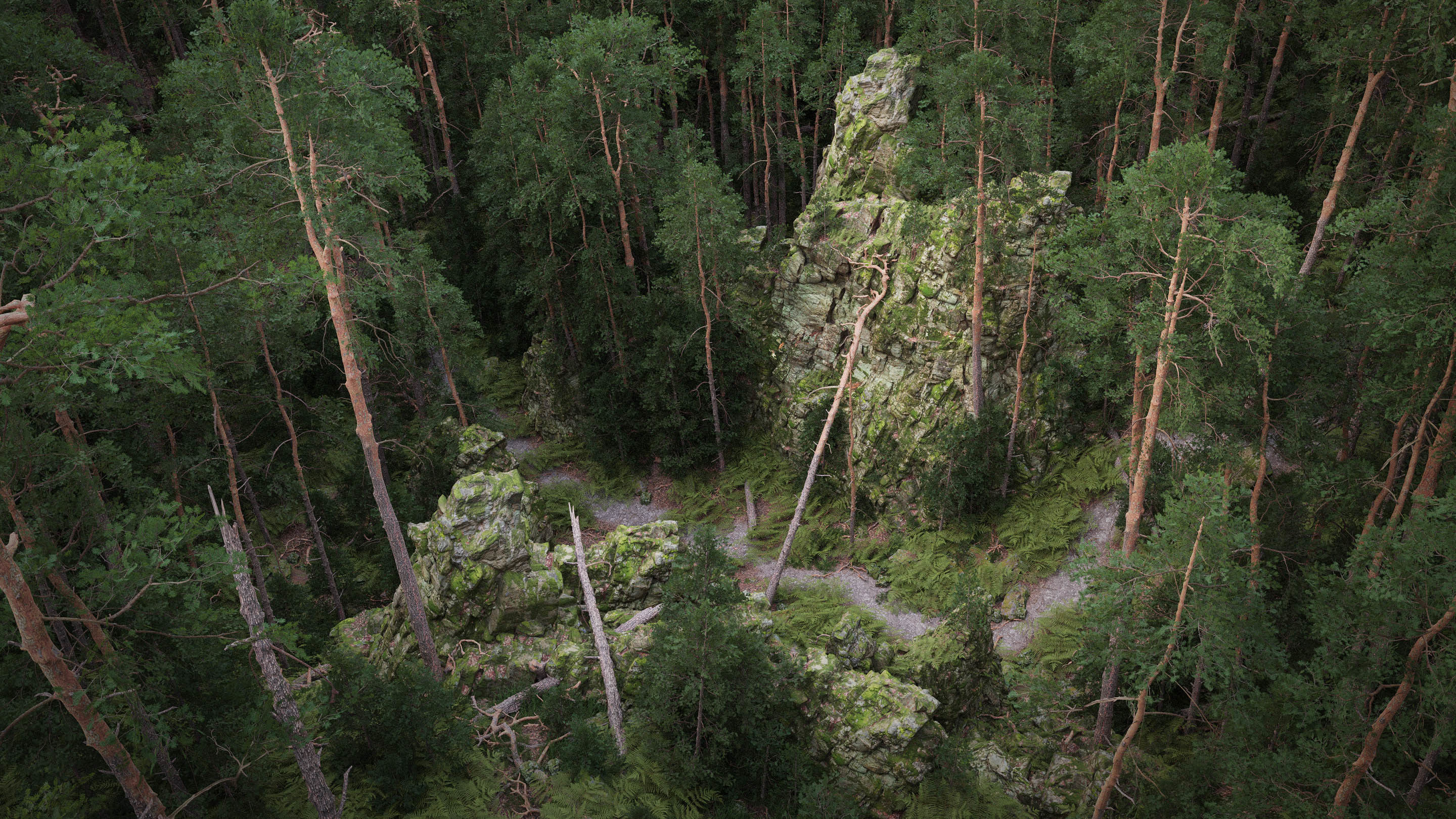 Forest Cliffs Moss Low-poly 3D model_4