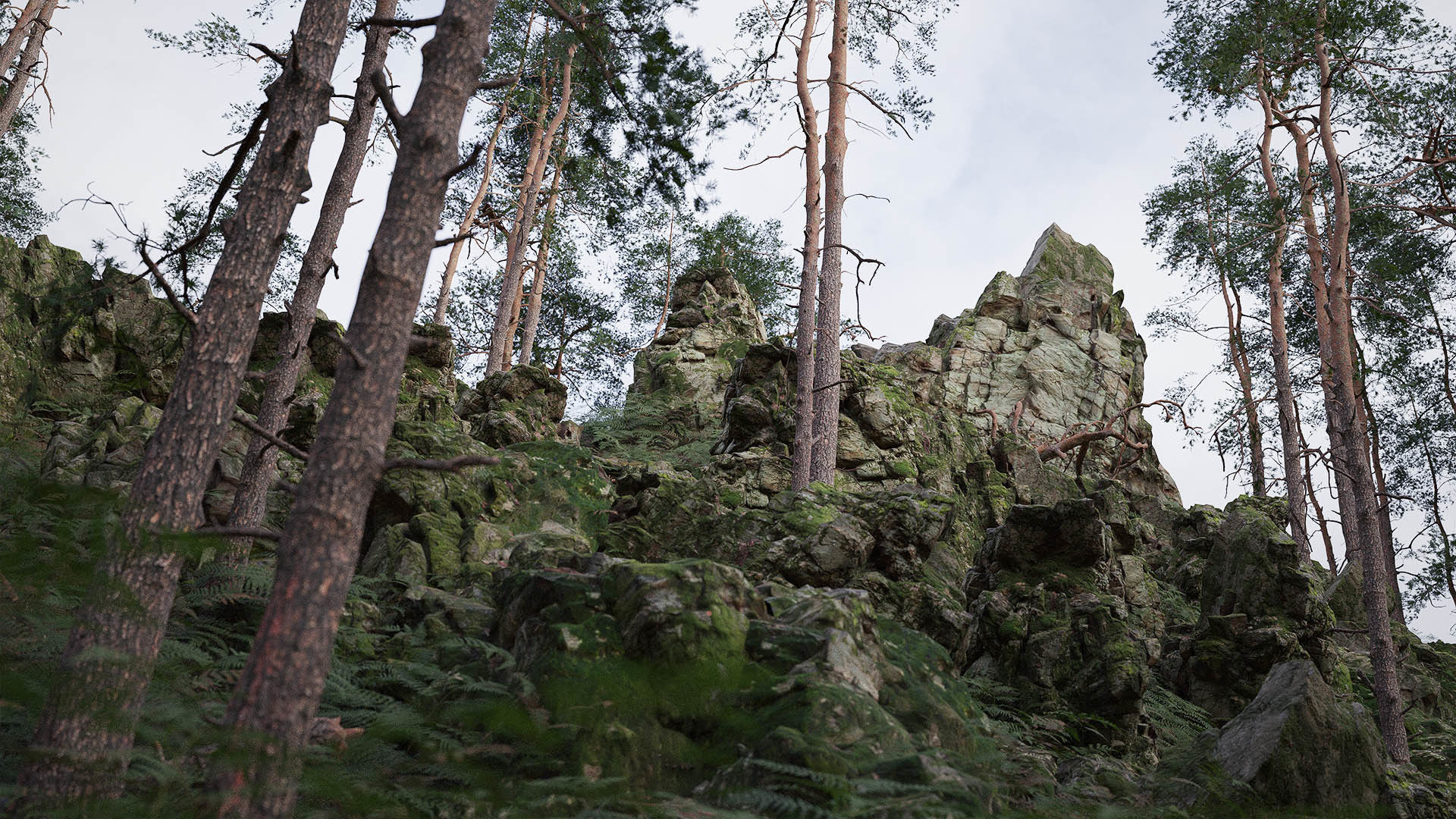 Forest Cliffs Moss Low-poly 3D model_2