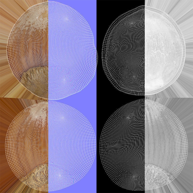 Hazelnuts - Var02 3D model_8