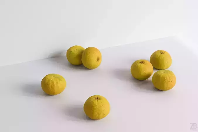 Sudachi 3D model