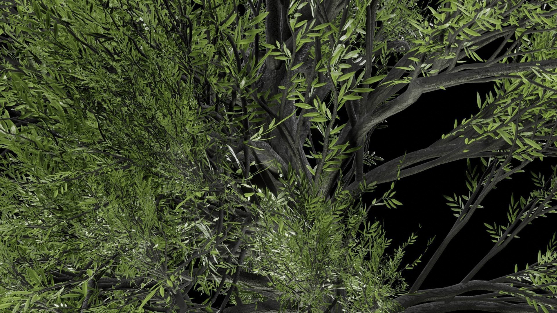 Procedural Tree 3D model_8