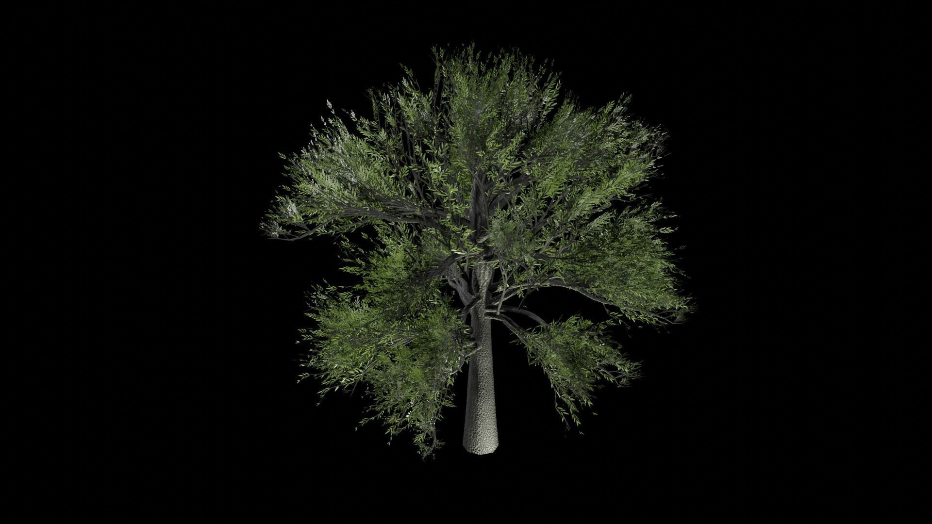 Procedural Tree 3D model_4