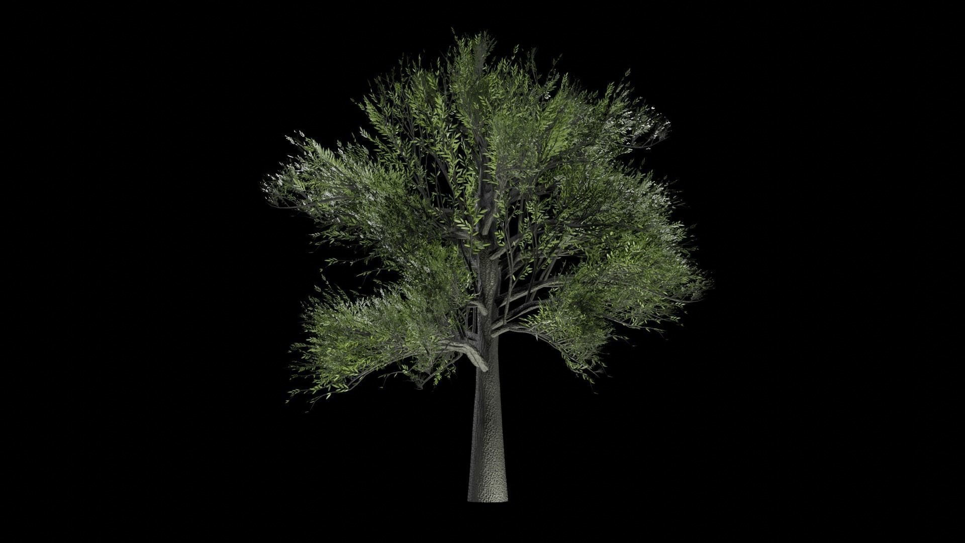 Procedural Tree 3D model_3