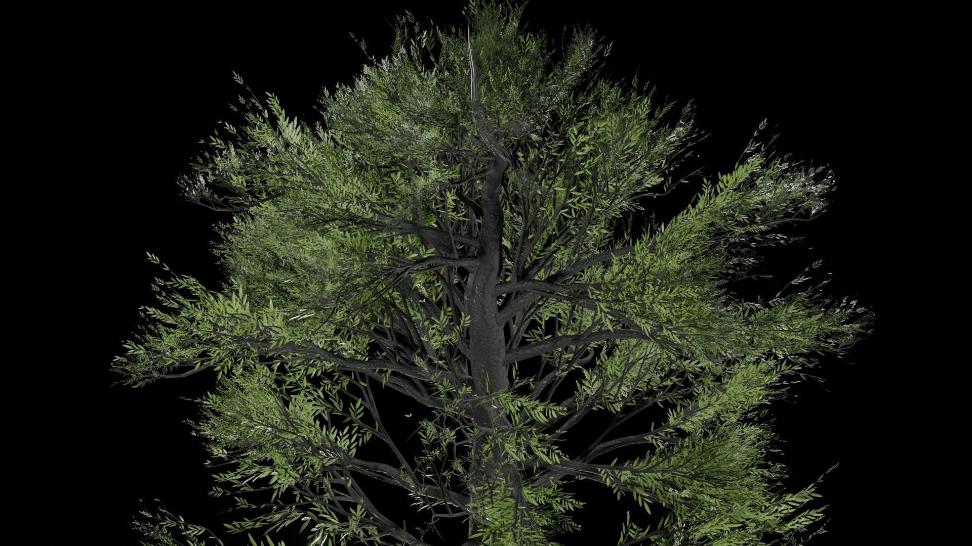 Procedural Tree 3D model_6