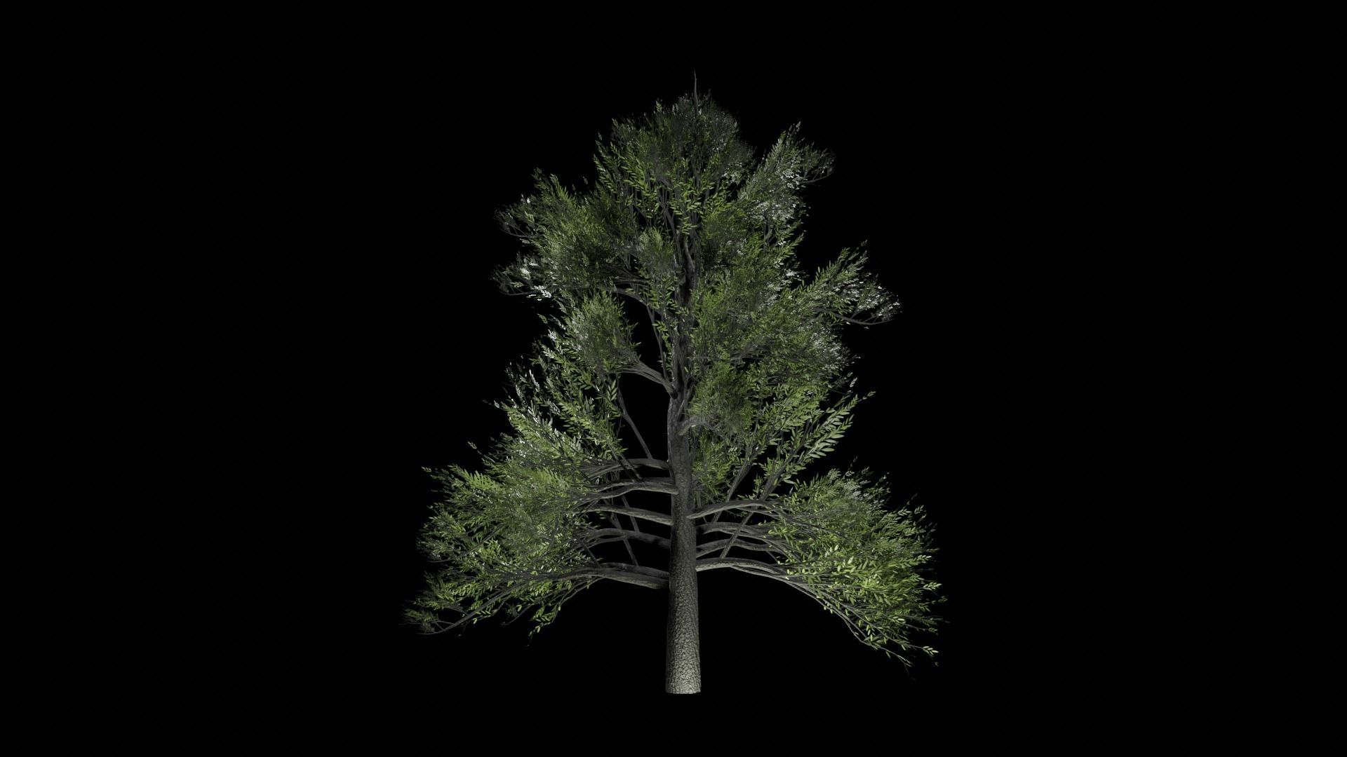 Procedural Tree 3D model_5