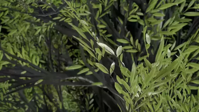 Procedural Tree 3D model