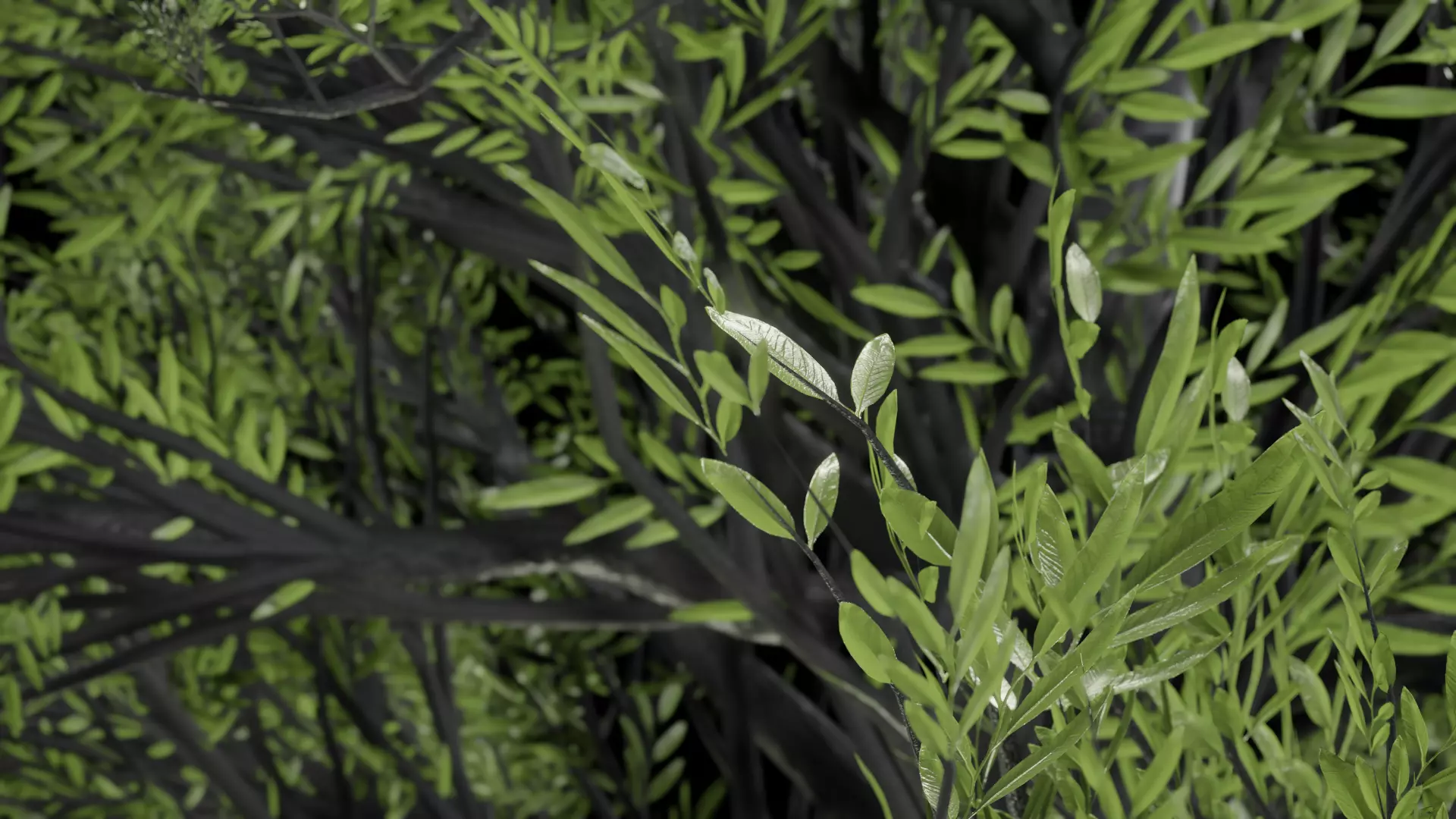 Procedural Tree 3D model_0