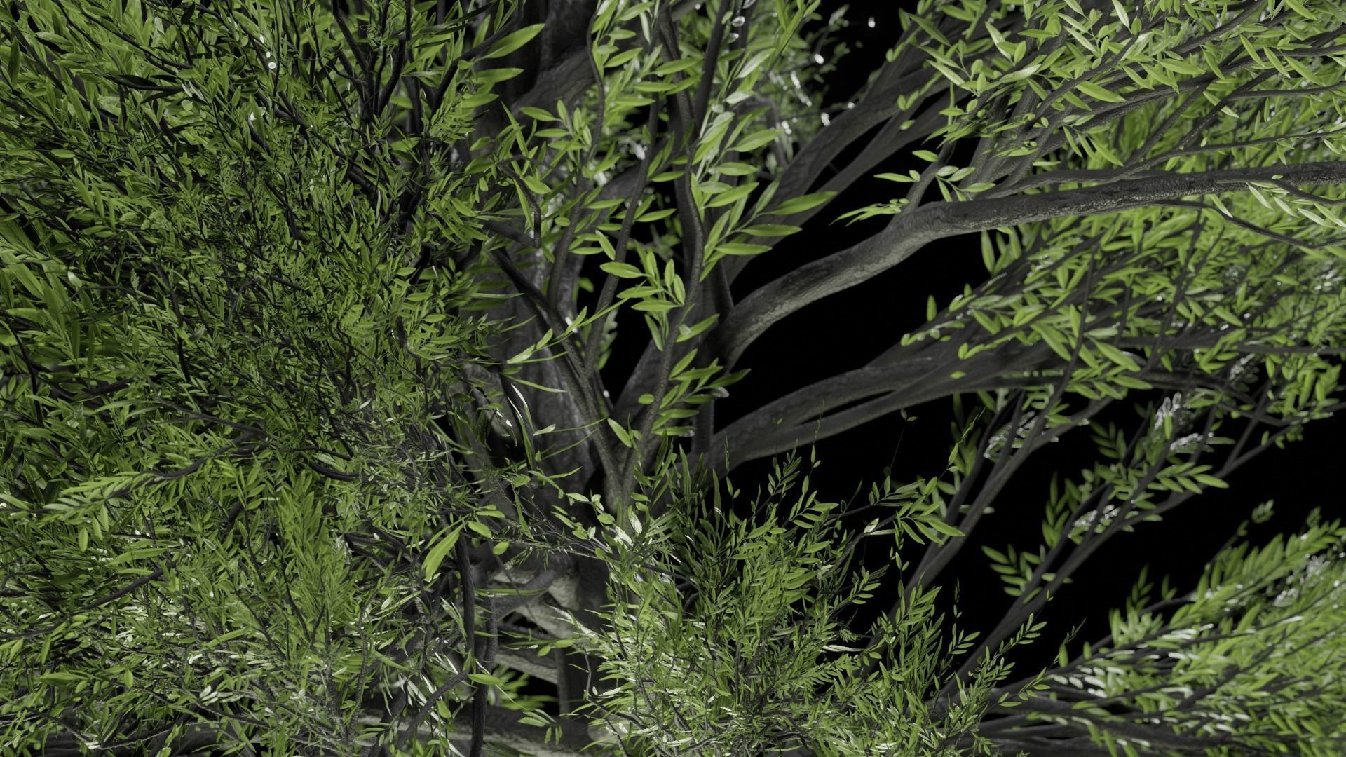 Procedural Tree 3D model_7