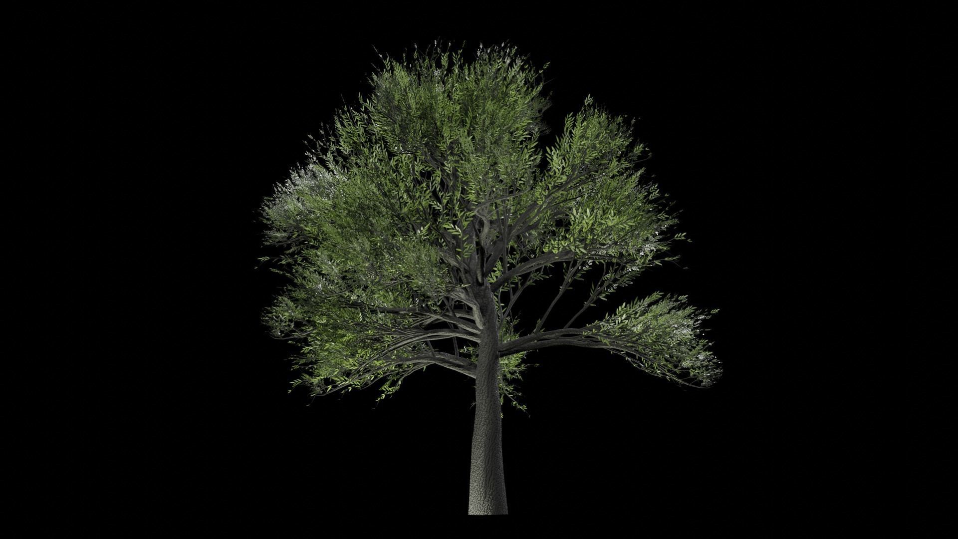 Procedural Tree 3D model_2