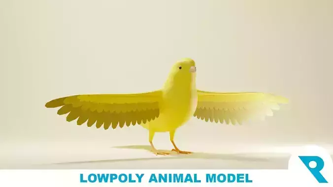 Canary Base Mesh Low-poly 3D model