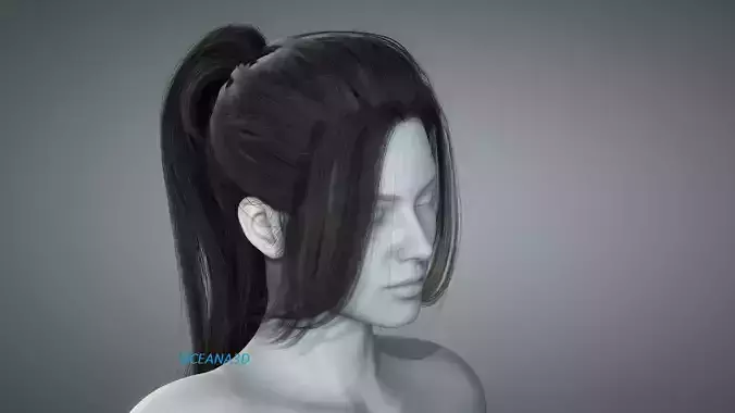 Realistic 3D Long PonyTail Dark Brown Low-poly 3D model