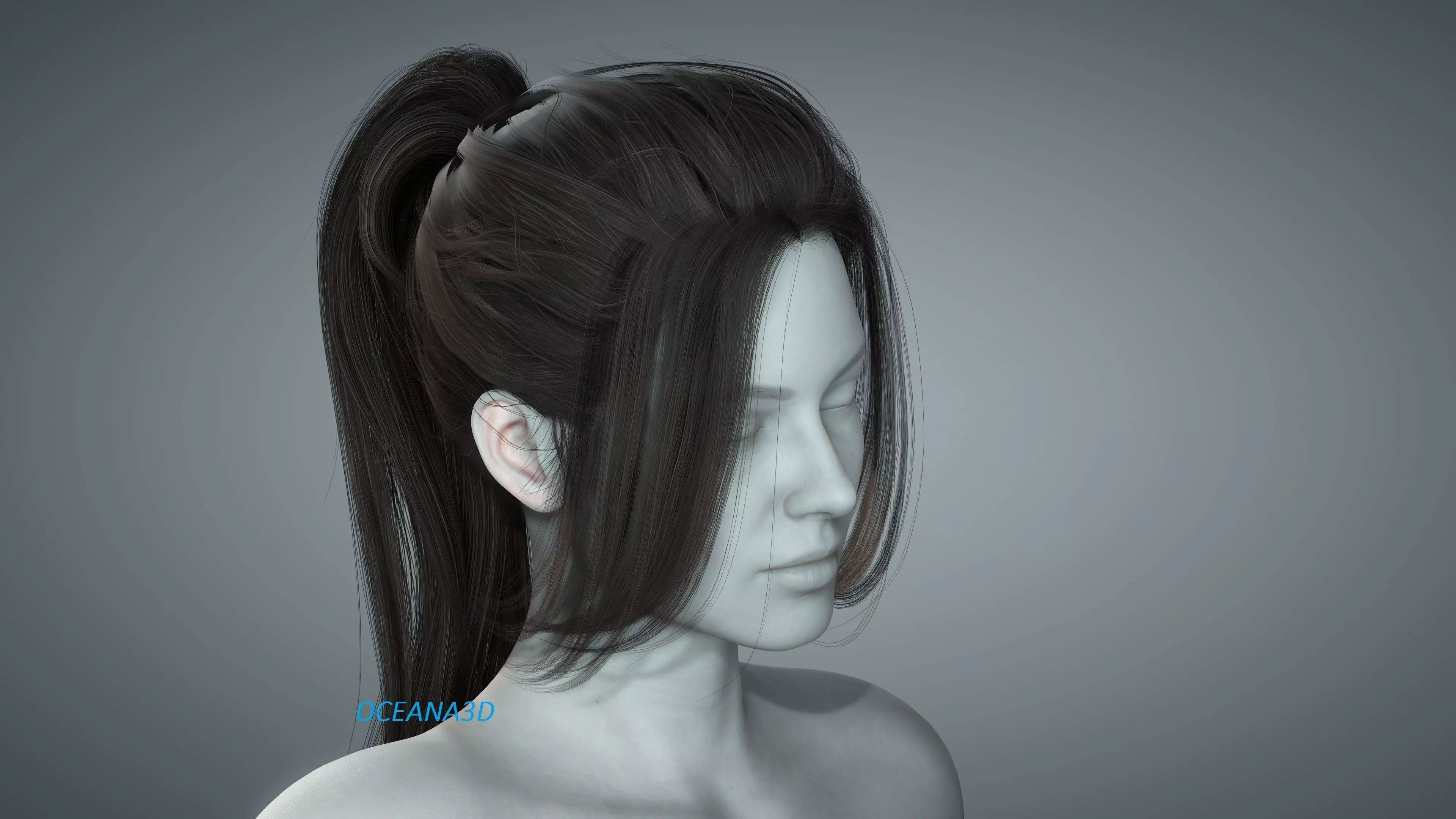 Realistic 3D Long PonyTail Dark Brown Low-poly 3D model_0